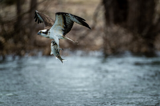 Taka Bilder Durchsuchen 8,024 Archivfotos, und Videos