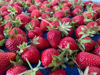 strawberries in a market