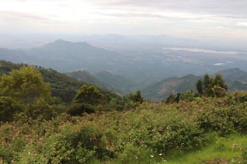 Kodaikanal Landscape