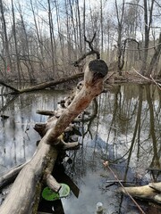 Nature is Wonderful!