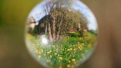 crystal sphere ball reflection of country side old house and dandelions meadow, magic summer inspirational background