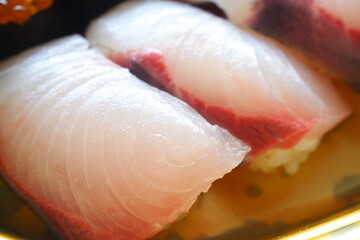 新鮮な魚介類を使った美味しい握り寿司