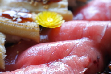 新鮮な魚介類を使った美味しい握り寿司