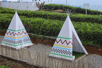 Little wigwam house with view of tea plantation.  © Gatot