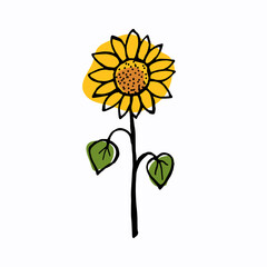 Sunflowers hand drawn color vector	