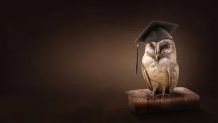 Raamstickers Wise owl © Elena Schweitzer