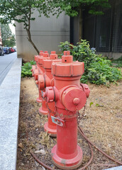 Fototapeta na wymiar red fire hydrants