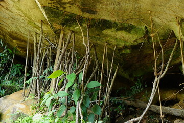 branches are used to support the stone from belief.