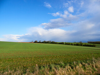 Feldflur zwischen Kronungen und Oberwern, Landkreis Schweinfurt, Unterfranken, Franken, Bayern, Deutschland