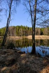 Obraz premium Baunachsee im Baunachtal des Sulzfelder Forstes im Naturpark Haßberge zwischen Sulzfeld und Bundorf, Unterfranken, Franken, Bayern, Deutschland