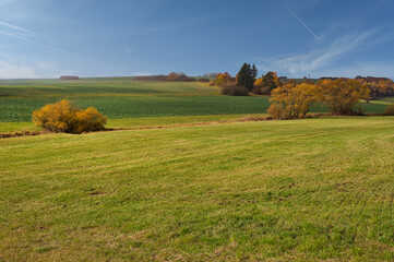 Fototapeta premium Wiesen Landschaft im Herbst