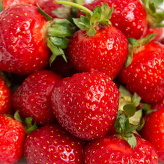Background from strawberries. Fresh ripe strawberries. Close-up. Harvest strawberries. Dessert.