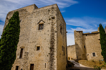 Ch&acirc;teau des Adh&eacute;mar &agrave; Mont&eacute;limar