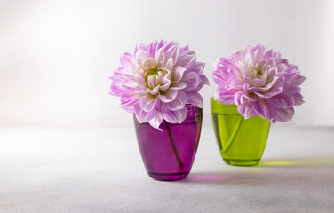 Autumn still life with pink dahlia in multicolored vases on table. Autumn floral decoration for home.