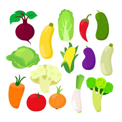Set of vegetables cabbage, chinese cabbage, red pepper, corn, leek, onion, beetroot, carrot, eggplant, tomato, cucumber, cauliflower, broccoli, squash or zucchini in cartoon style.