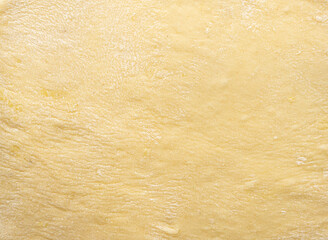 Texture of evenly rolled dough.Background of the dough for baking.