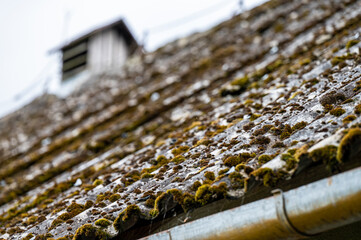 Dangerous asbestos roofs are still common in the poverty parties of the Carpathian Mountains in Poland and Ukraine. Asbestic tile on the barn roof, Bieszczady Mountains, Poland.