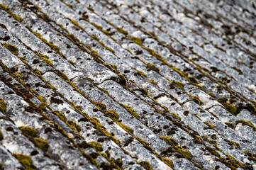 Dangerous asbestos roofs are still common in the poverty parties of the Carpathian Mountains in Poland and Ukraine. Asbestic tile on the barn roof, Bieszczady Mountains, Poland.