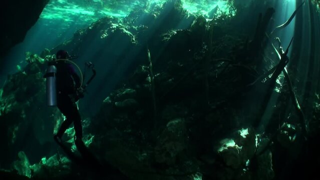 Diver over muddy water halocline near tree roots and sudden change of water salinity in cenotes of underwater cave in Mexico. Divers during cave diving. Phenomenon of wildlife in underwater world.