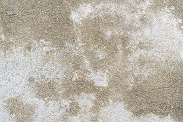 Old concrete wall. Ideal for textures and backgrounds.