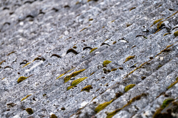 Dangerous asbestos roofs are still common in the poverty parties of the Carpathian Mountains in Poland and Ukraine. Asbestic tile on the barn roof, Bieszczady Mountains, Poland.