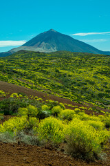 landscape with volcano