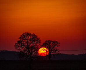 Sunset in the park 