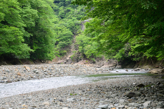 Along Japanese mountain streams