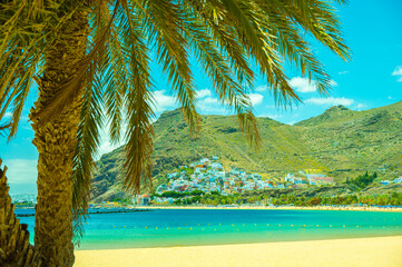 Fototapeta na wymiar santa cruz playa teresitas tenerife palm tree beach ocean