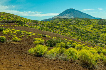 tenerife teide national park volcano