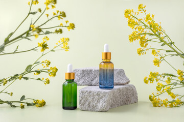 Obraz na płótnie Canvas bottles with an essential oil pipette on a stone podium and rapeseed flowers on a light green background