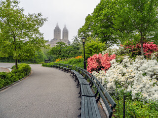 Central Park in spring
