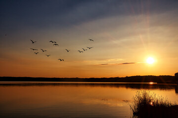 See im Abendrot mit Vögel - Sunset - Landscape - Sunrise over sea - Beautiful sunset scene over...