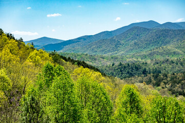 Landscape scenic views at pisgah national forest