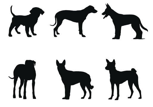Set of popular breeds of dog. Black on transparent background