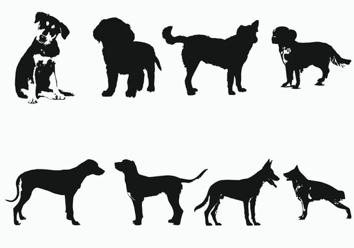 black and white dogs vector illustration