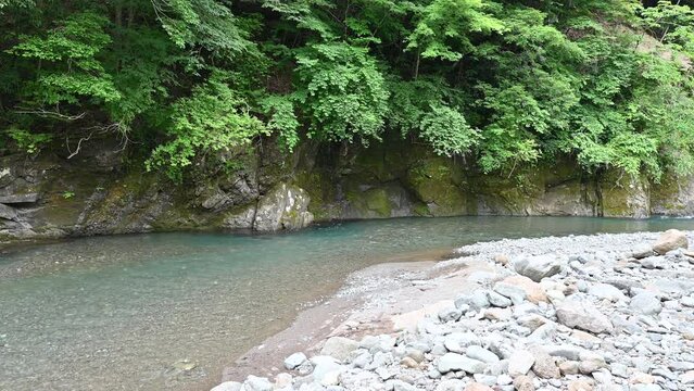 Along a very beautiful Japanese mountain stream.