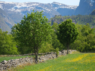 Eidfjörd und der Hardangerfjörd in Norwegen