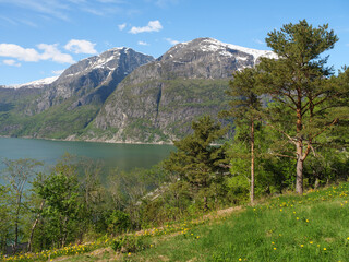 Eidfjörd in norwegen