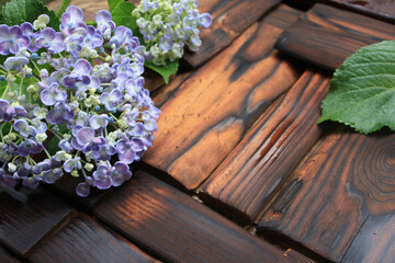 梅雨の雨に濡れる木のテーブルに置かれた紫陽花