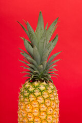 Half part of a pineapple on a red background