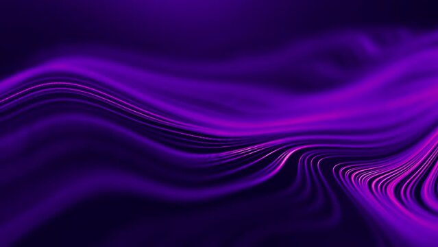 Wave abstract purple wave animation. Seamless loop 4k. Purple technology background.