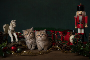 Two cute british shorthaired kittens between old toys and christmas ornaments in a still life setting