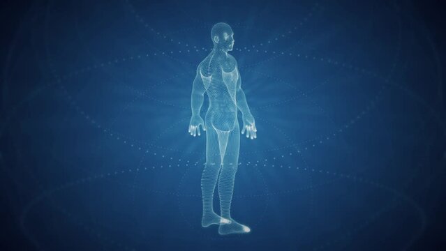 Lone 3D digital holographic human man rotating in abstract blue cyberspace virtual reality with dashed geometric circles. Full HD and looping HUD styled technology concept motion background.