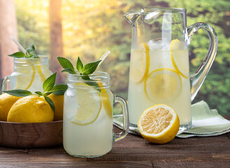 Glass of lemonade with lemon slices and mint