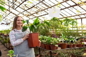 A young woman greenhouse worker carries a large green flower in a pot.