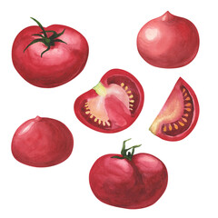 Set Ripe fresh tomatoes. Watercolor illustration pink vegetabl for cooking Isolated on white background. Art for design