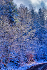 Frozen landscape covered with snow during cold winter day.