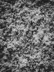 Dark grey black  background or texture,Cement and Concrete .rough  black and white background