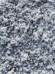 Dark grey black  background or texture,Cement and Concrete .rough  black and white background